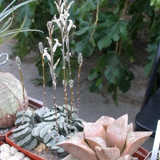 Выставка 23-25.09.2011 на Куликовом поле