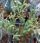 Выставка 23-25.09.2011 на Куликовом поле