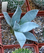 Выставка 23-25.09.2011 на Куликовом поле