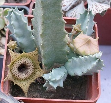 Выставка 23-25.09.2011 на Куликовом поле