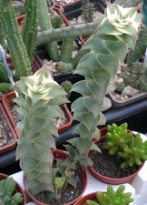 Выставка 23-25.09.2011 на Куликовом поле