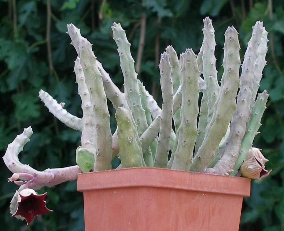 Выставка 23-25.09.2011 на Куликовом поле