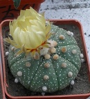 Выставка 23-25.09.2011 на Куликовом поле