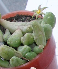 Выставка 23-25.09.2011 на Куликовом поле