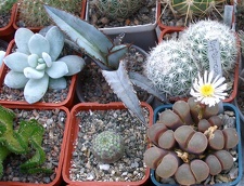 Выставка 23-25.09.2011 на Куликовом поле