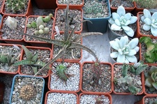 Выставка 23-25.09.2011 на Куликовом поле