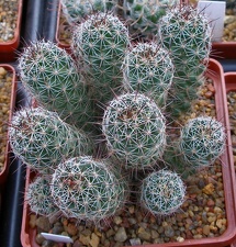 Выставка 23-25.09.2011 на Куликовом поле