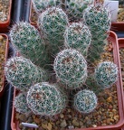 Выставка 23-25.09.2011 на Куликовом поле