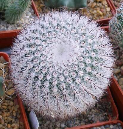 Выставка 23-25.09.2011 на Куликовом поле