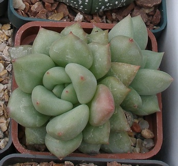 Выставка 23-25.09.2011 на Куликовом поле