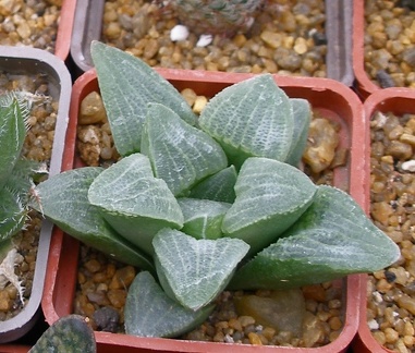 Выставка 23-25.09.2011 на Куликовом поле