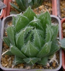 Выставка 23-25.09.2011 на Куликовом поле