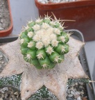 Выставка 23-25.09.2011 на Куликовом поле