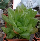 Выставка 23-25.09.2011 на Куликовом поле