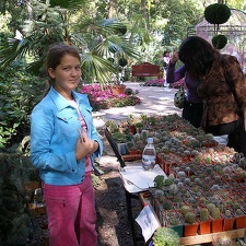 Выставка 23-24 сентября 2006 (Одесса)