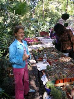 Выставка 23-24 сентября 2006 (Одесса)