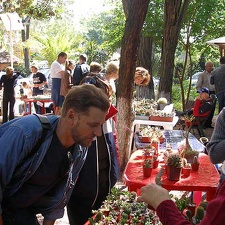 Выставка 23-24 сентября 2006 (Одесса)