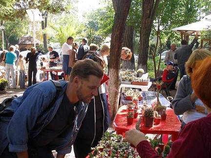 Выставка 23-24 сентября 2006 (Одесса)