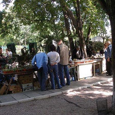Выставка 23-24 сентября 2006 (Одесса)