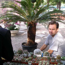 Выставка 23-24 сентября 2006 (Одесса)