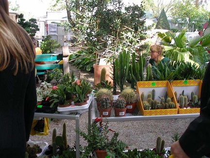 Выставка 23-24 сентября 2006 (Одесса)