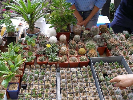 Выставка 23-24 сентября 2006 (Одесса)