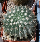 Выставка 25-27.05.2012 на Куликовом поле