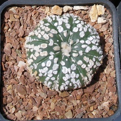 Одесса 25-27.05.2012 