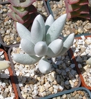 Выставка 25-27.05.2012 на Куликовом поле