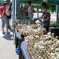  Выставка 03-05.06.2011 на Куликовом поле