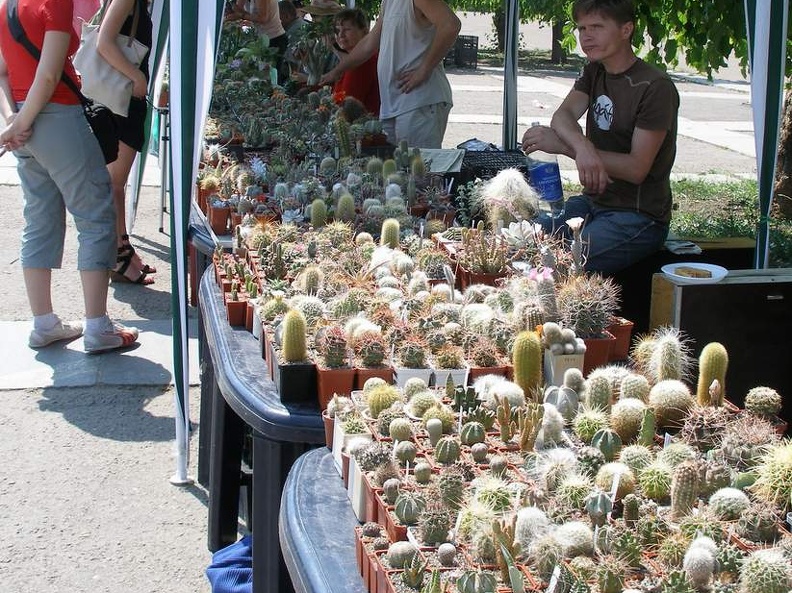  Выставка 03-05.06.2011 на Куликовом поле