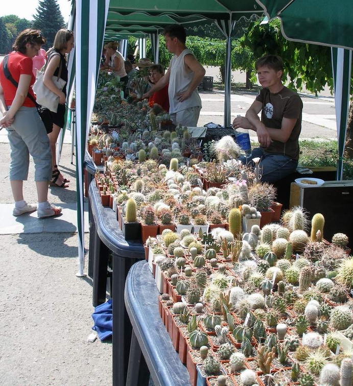  Выставка 03-05.06.2011 на Куликовом поле