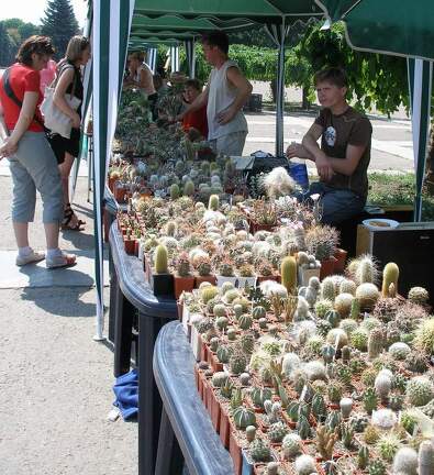  Выставка 03-05.06.2011 на Куликовом поле