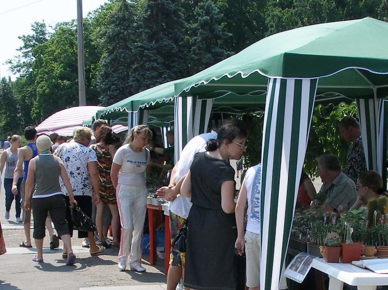  Выставка 03-05.06.2011 на Куликовом поле