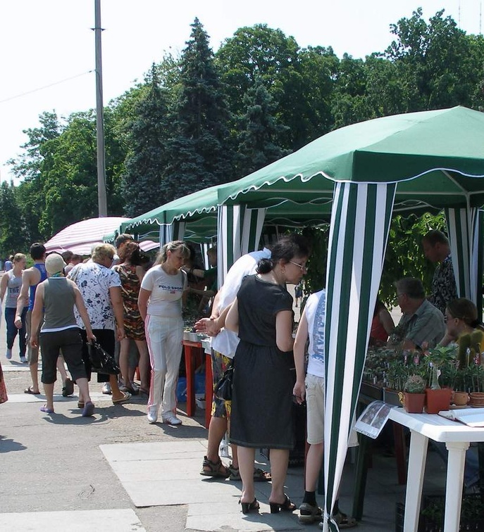  Выставка 03-05.06.2011 на Куликовом поле