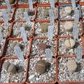  Выставка 03-05.06.2011 на Куликовом поле