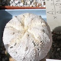  Выставка 03-05.06.2011 на Куликовом поле