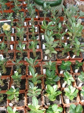  Выставка 03-05.06.2011 на Куликовом поле