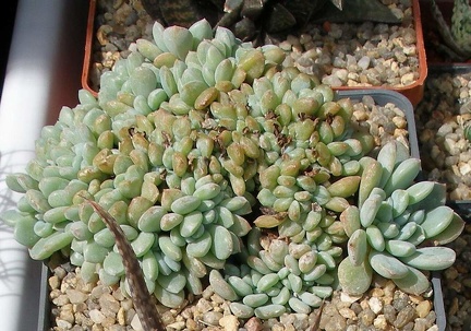  Выставка 03-05.06.2011 на Куликовом поле