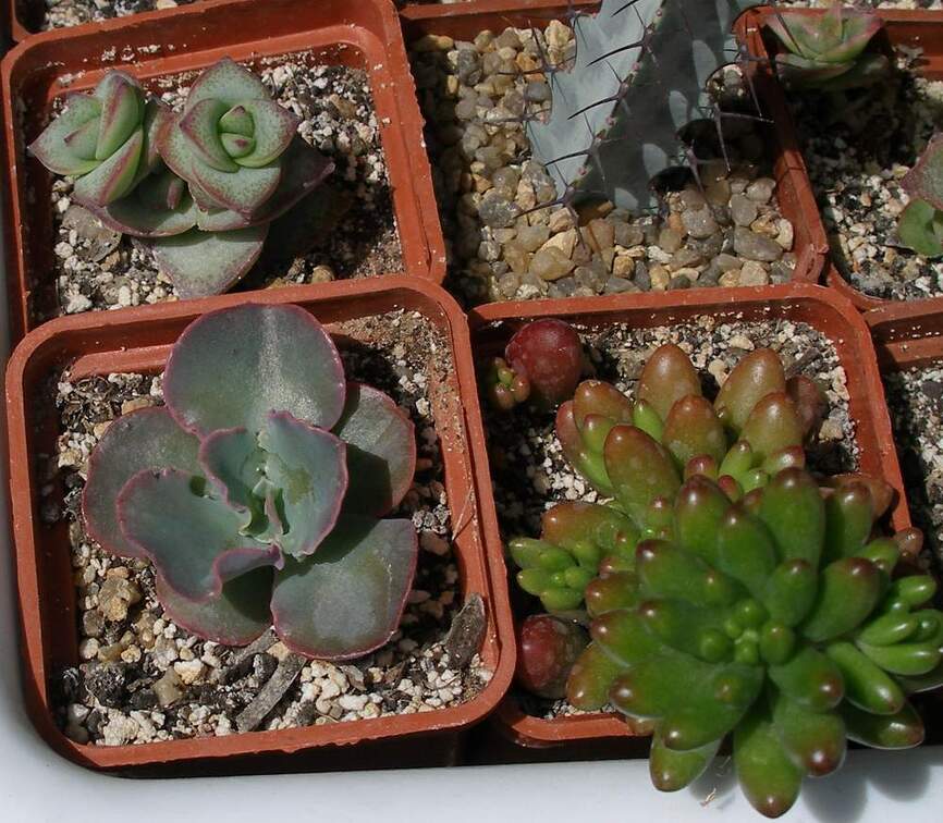  Выставка 03-05.06.2011 на Куликовом поле