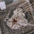 Выставка 03-05.06.2011 на Куликовом поле