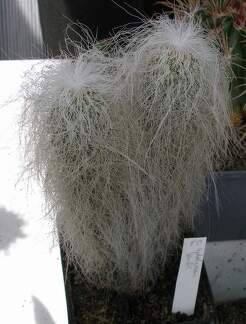  Выставка 03-05.06.2011 на Куликовом поле