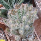  Выставка 03-05.06.2011 на Куликовом поле