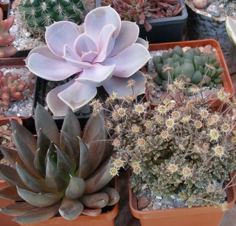  Выставка 03-05.06.2011 на Куликовом поле