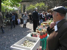 Выставка 29-30 апреля 2006 (Одесса)