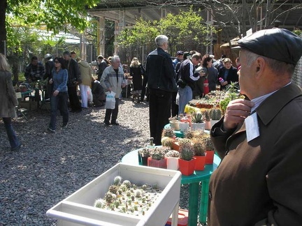 Выставка 29-30 апреля 2006 (Одесса)