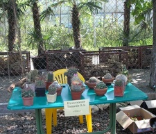 Выставка 29-30 апреля 2006 (Одесса)