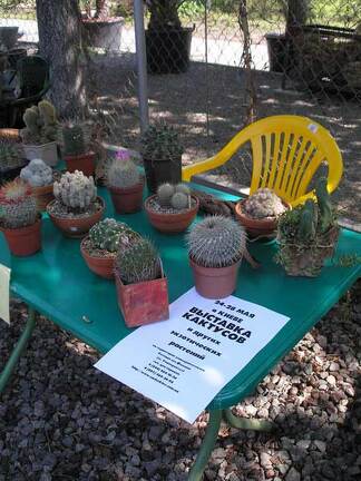 Выставка 29-30 апреля 2006 (Одесса)