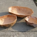 P7100009.JPG