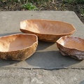 P7100010.JPG